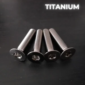 4 vis M6X30 – TITANE GR5 – T30